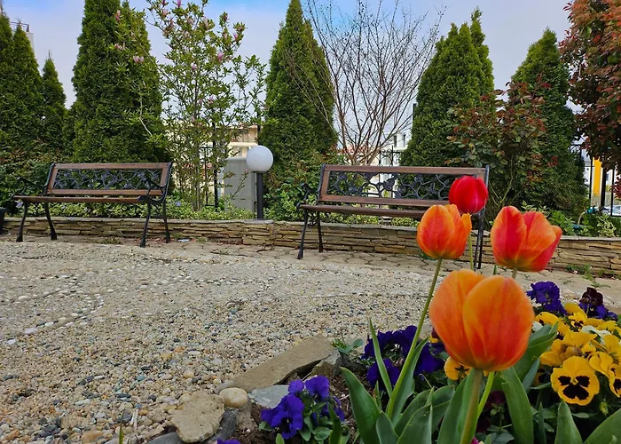 азалия * Созопол